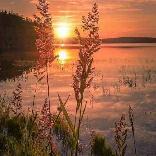  وای به حال من اگر رخ نمایى و نگاهت در نگاهم افتد